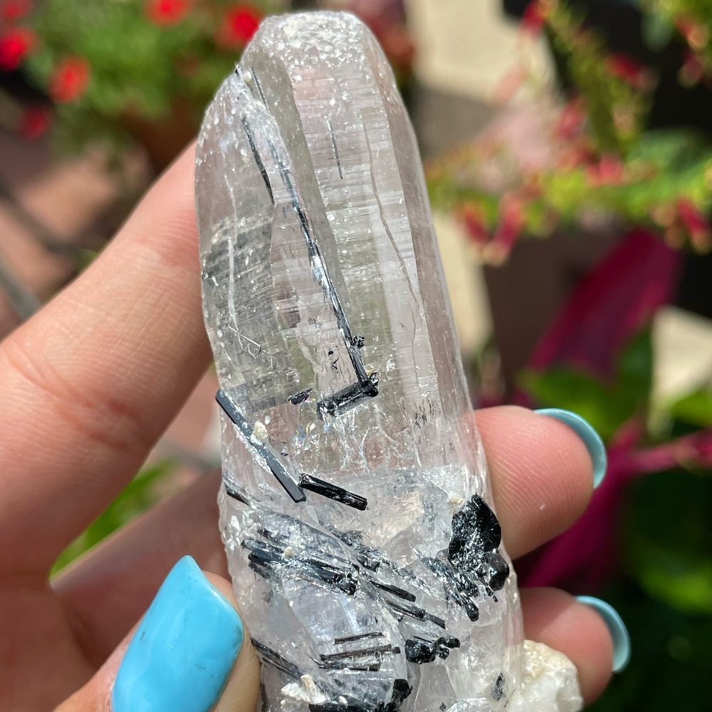 ❣︎ Tourmaline Himalayan Quartz ❣︎